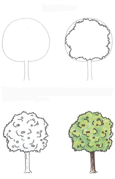 Поэтапное рисование дерева