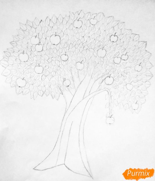 Поэтапный рисунок яблони