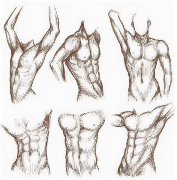 Пресс сбоку референс