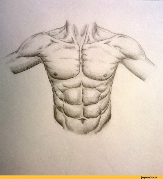 Торс зарисовки