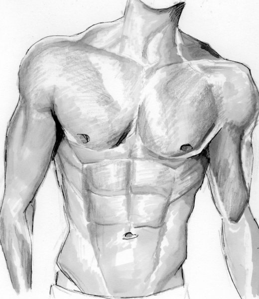 Пресс рисунок