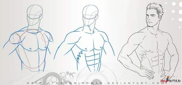 Рисовка накаченного тела