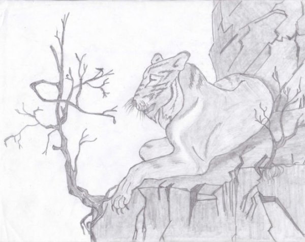 Мцыри раскраска