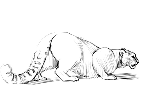 Дмитрий Бисти Мцыри