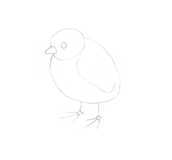 Как рисовать цыпленка поэтапно