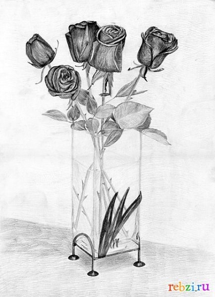 Розы в вазе рисунок карандашом