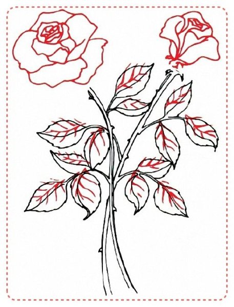 Букет роз рисовать поэтапно
