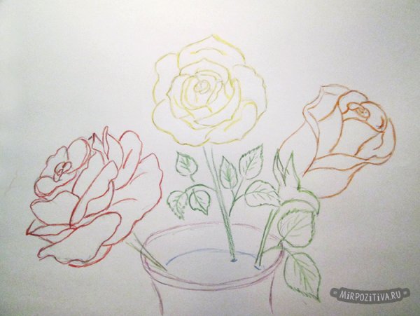 Поэтапное рисование розы в вазе