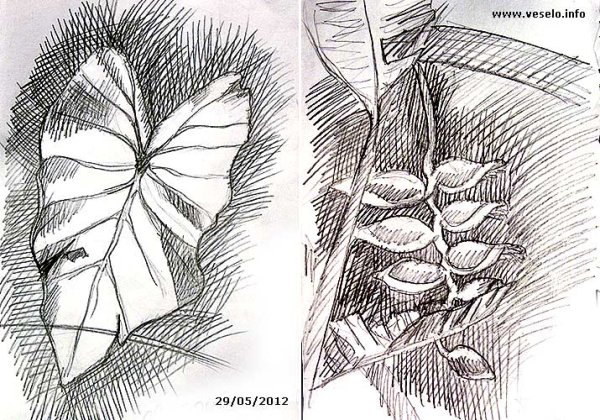 Рисунки штриховкой