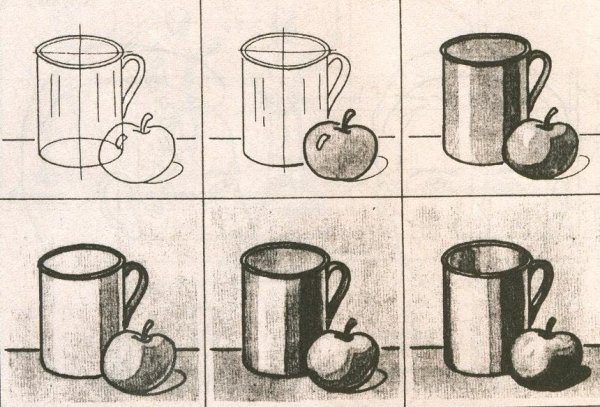 Этапы рисования натюрморта