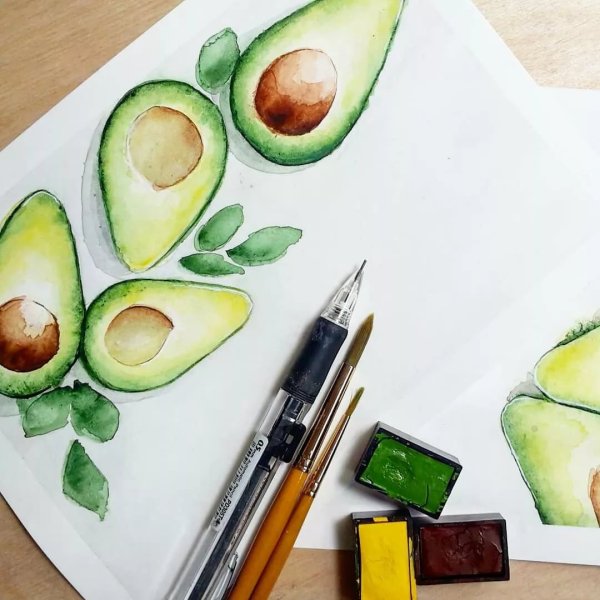 Авокадо скетч акварелью