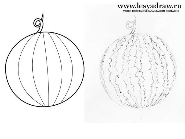 Пошаговое рисование арбуза