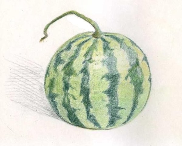 Пошаговое рисование арбуза