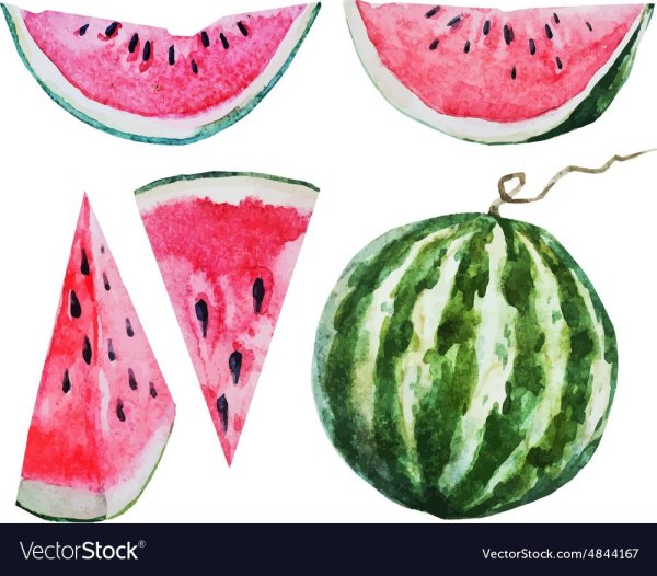 Арбуз цветными карандашами долька