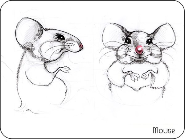 Мышка набросок