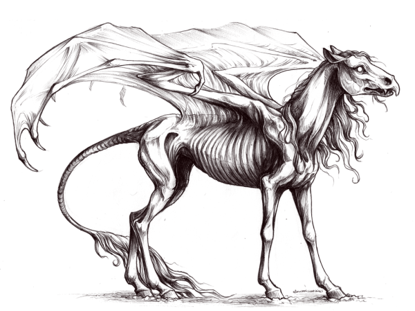 Фестрал лайнарт