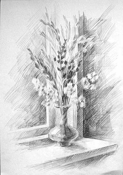 Комнатные растения карандашом