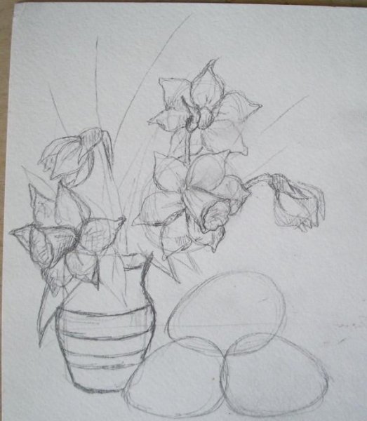 Ваза с цветами рисунок карандашом