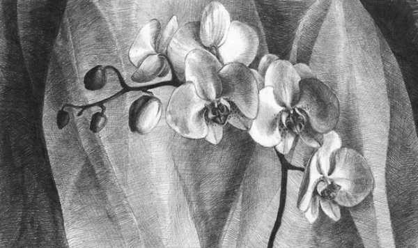 Ваза с цветами для срисовки