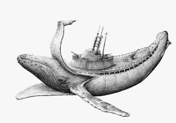 Кит рисунок