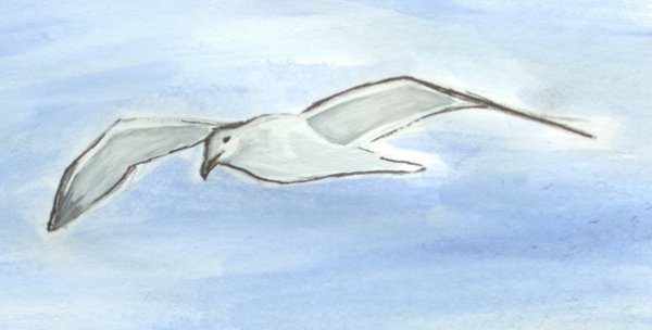 Чайки цветными карандашами