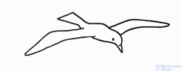 Шаблон Чайки