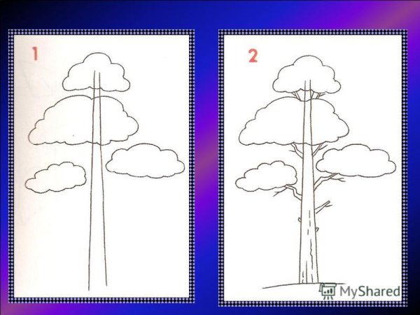 Рисование сосна для дошкольников