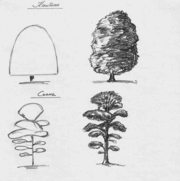 Нарисовать сосну