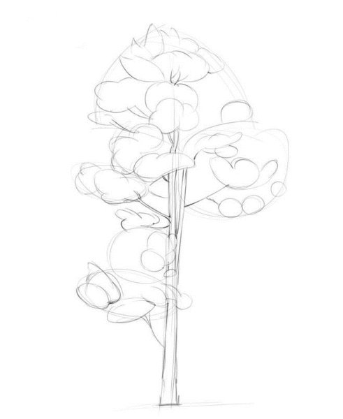 Сосна рисунок карандашом для детей