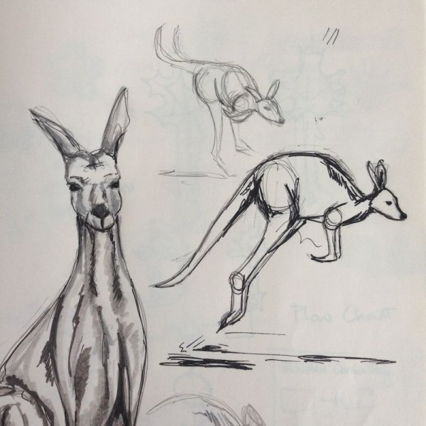 Кенгуру для рисования
