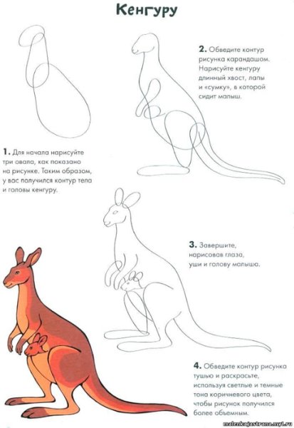 Рисование с детьми кенгуру