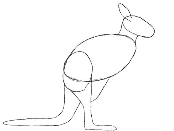 Кенгуру скетч