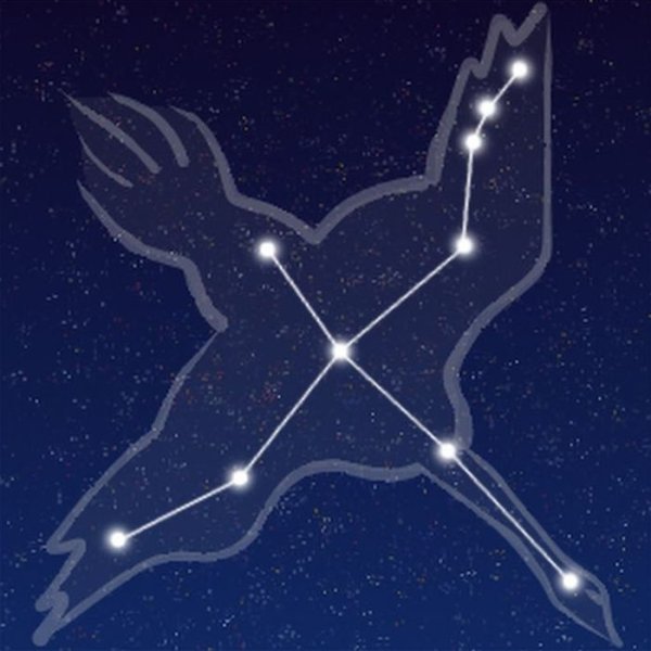 Cygnus Созвездие