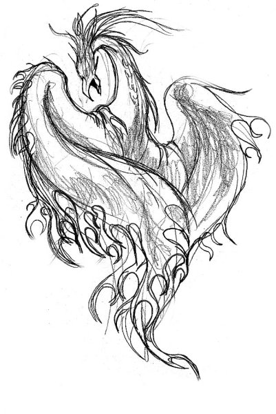 Феникс для срисовки