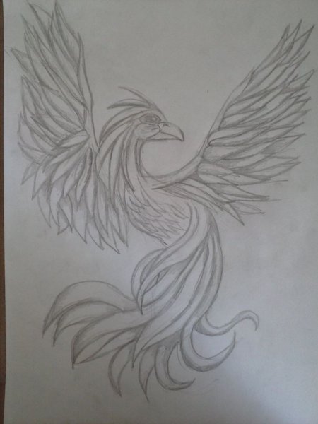 Феникс карандашом легко