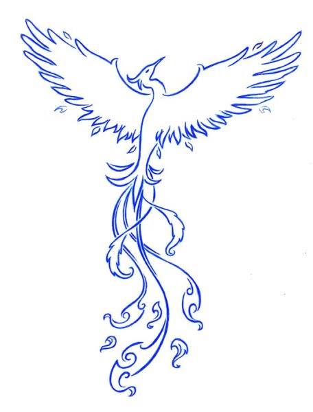 Легкий эскиз Феникса