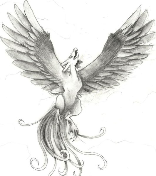 Феникс карандашом