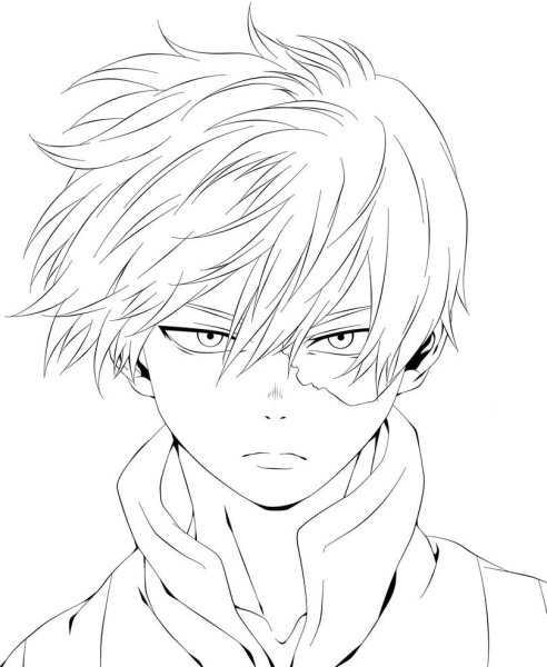 Тодороки лайнарт