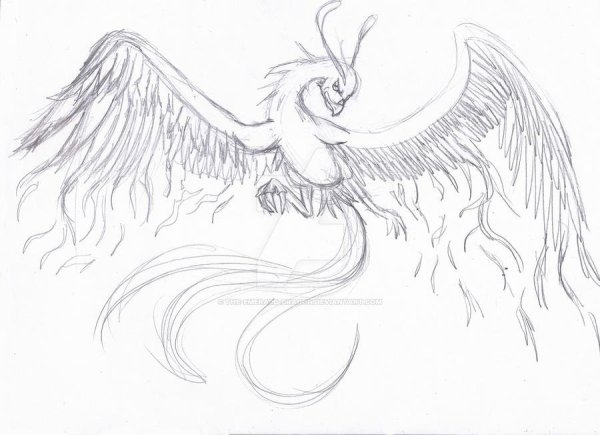 Феникс рисунок для срисовки