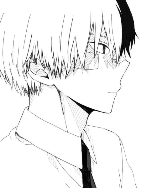 Тодороки шото черно белый