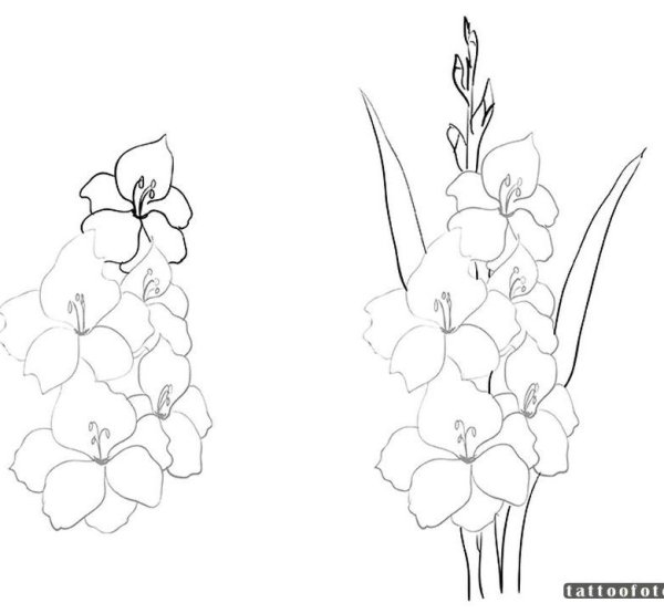Букет для срисовки