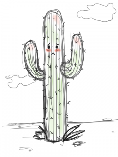 Кактус рисунок карандашом для срисовки