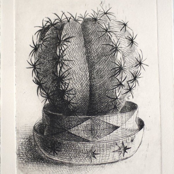 Кактус карандашом