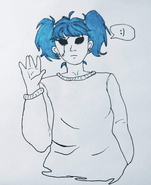 Салли фейс портрет