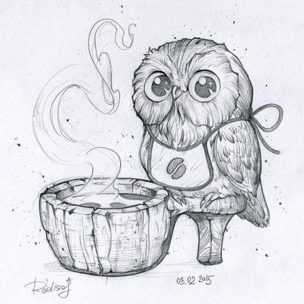 Совушки рисунки карандашом для срисовки