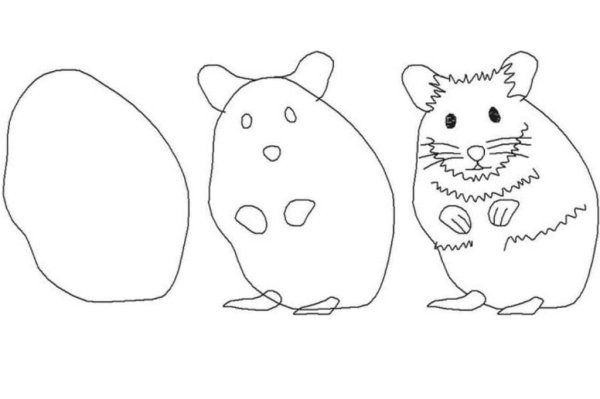 Хомяк для срисовки карандашом
