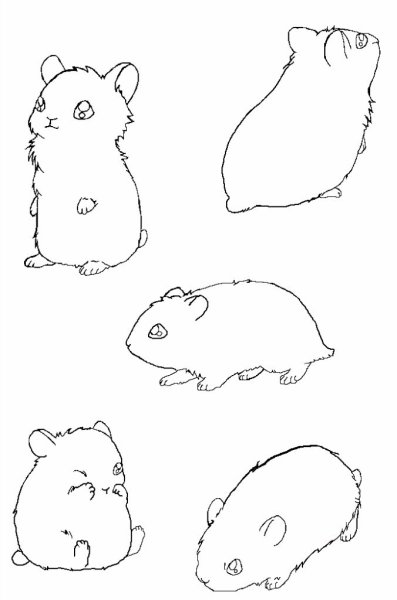 Рисунок хомяка джунгарика