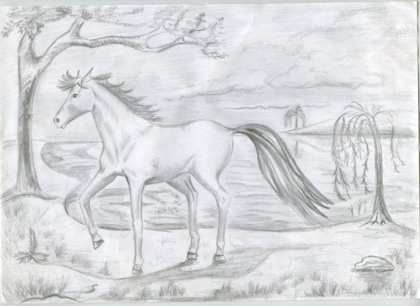 Рисунки карандашом природа