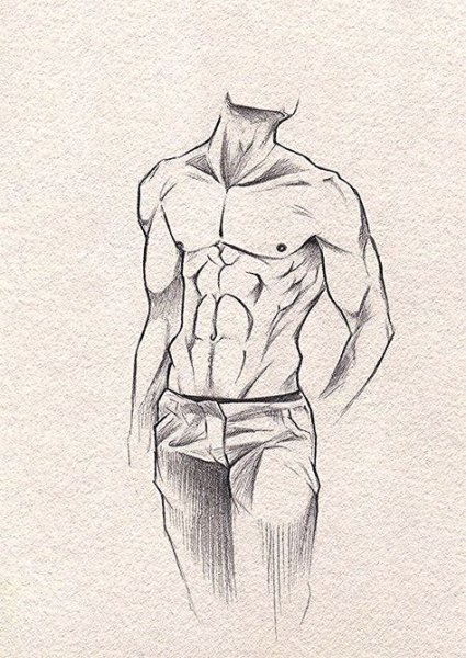 Мужской торс набросок