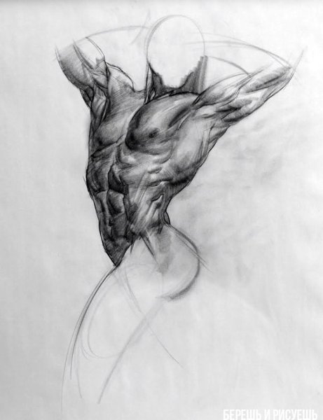 Зарисовки тела